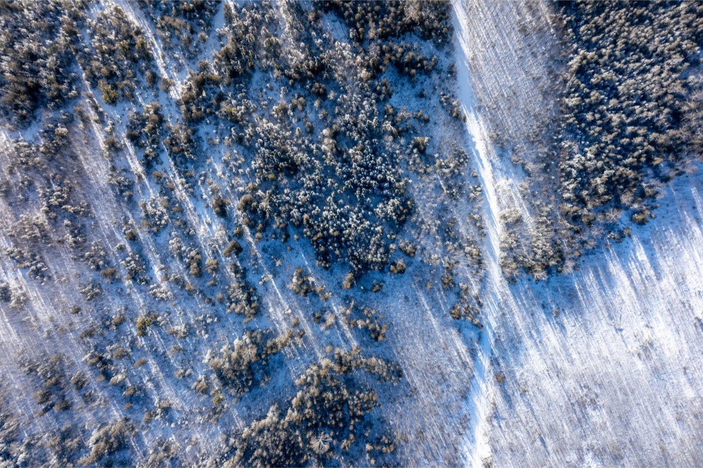 Winter Road - Print Only