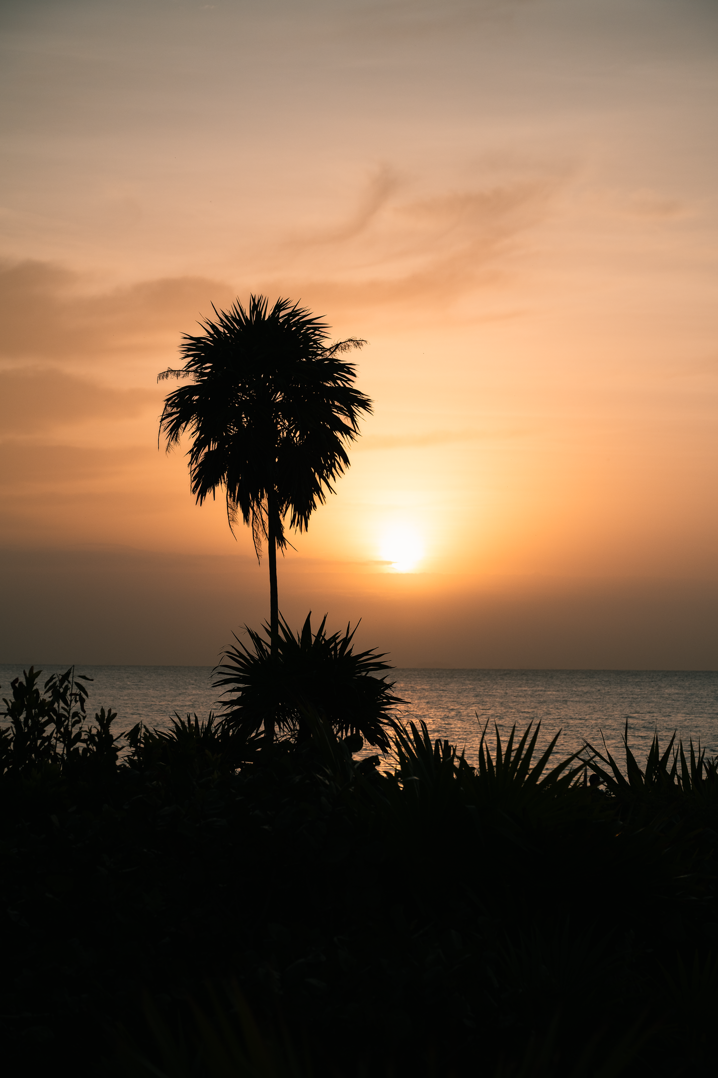 Caribbean Sunrise