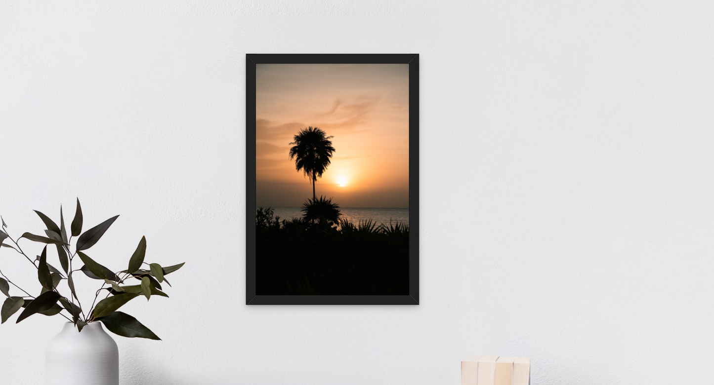 Caribbean Sunrise