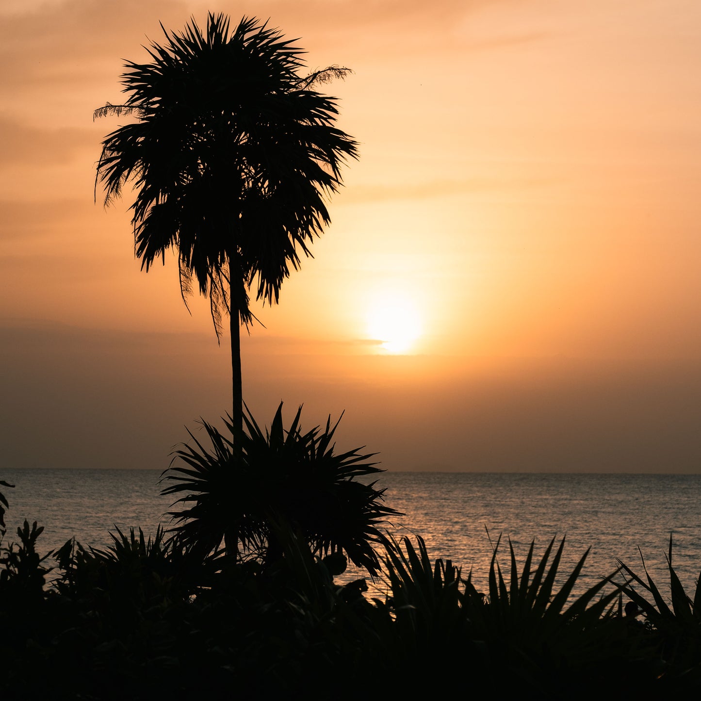 Caribbean Sunrise