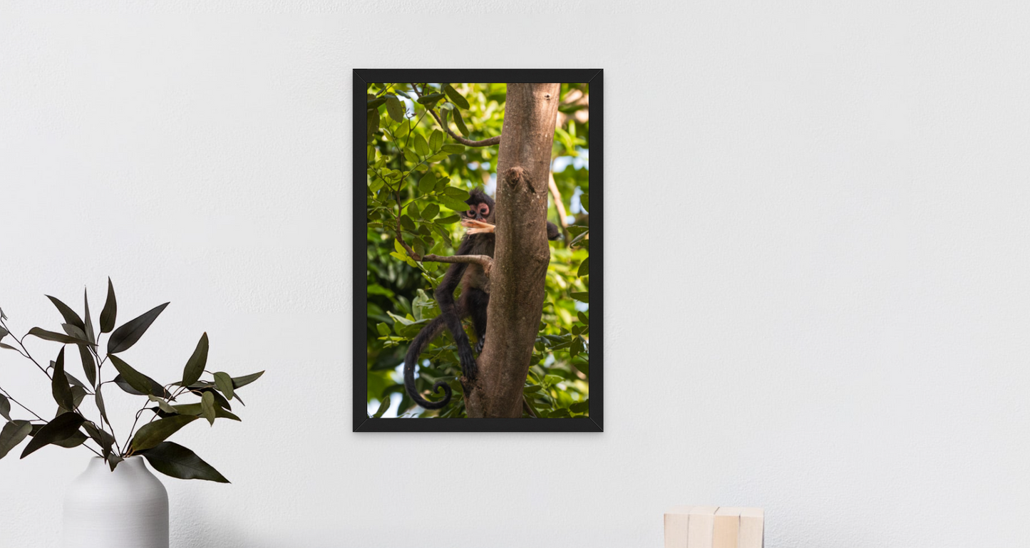 Curiosity - A 12x18 Vertical Framed Print