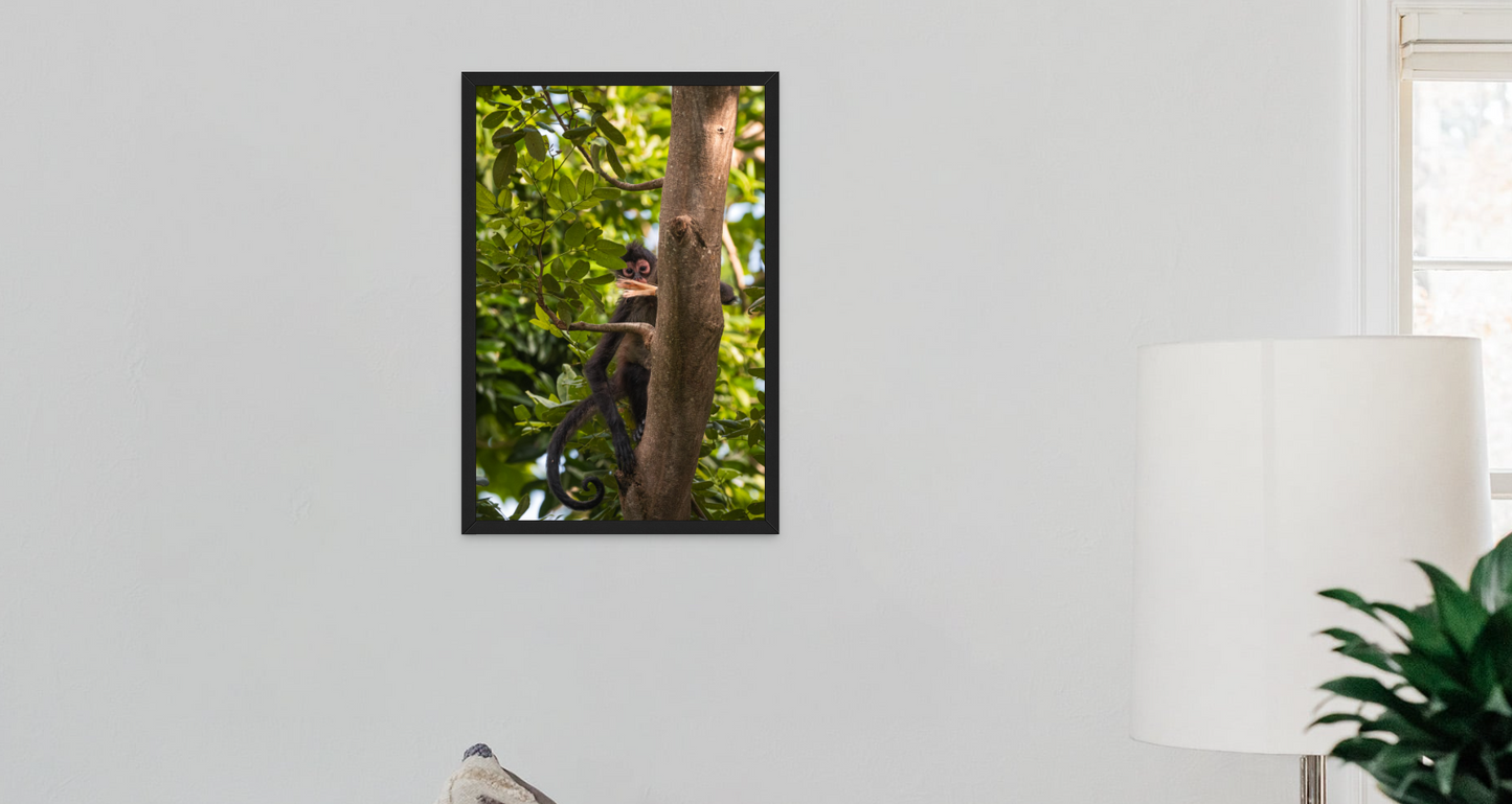 Curiosity - A 16x24 Vertical Framed Print