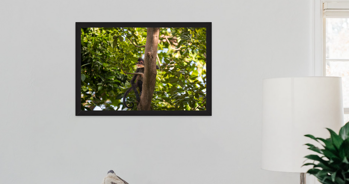 Curiosity - A 20x30 Framed Print