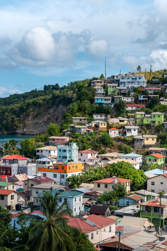 Hillside of Color