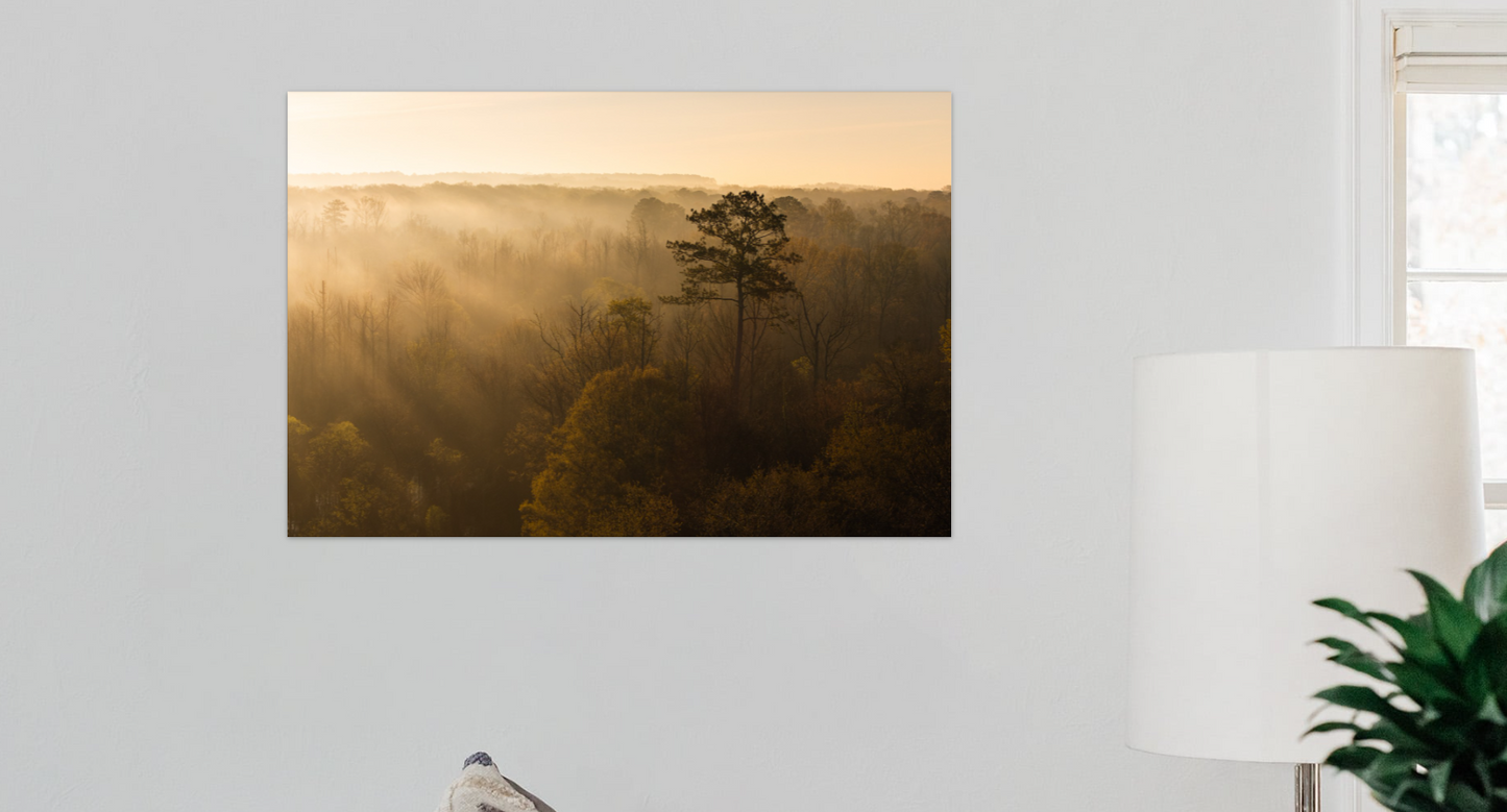 Morning Haze