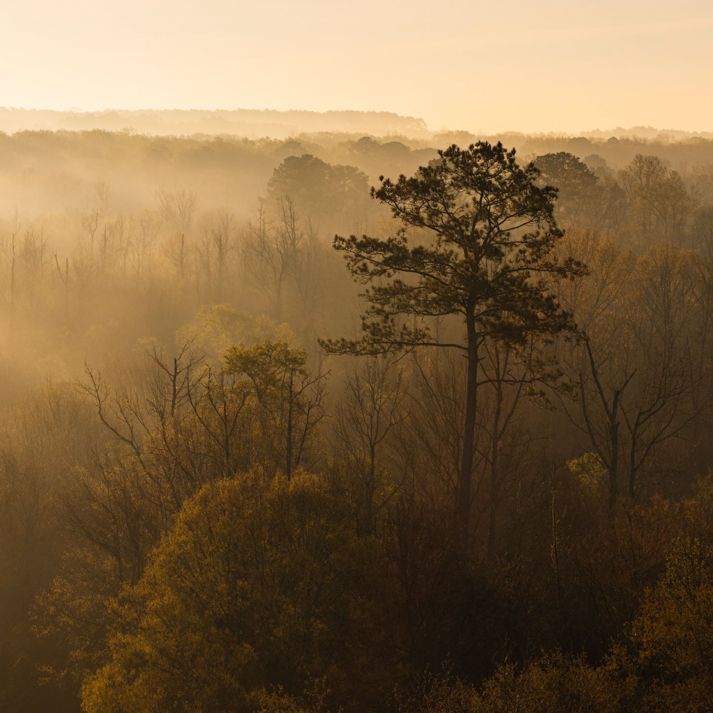Morning Haze
