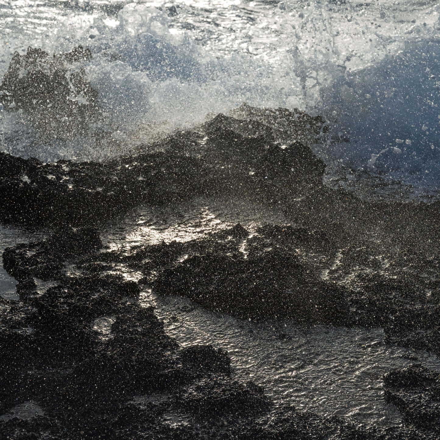 Ocean Spray - Print Only