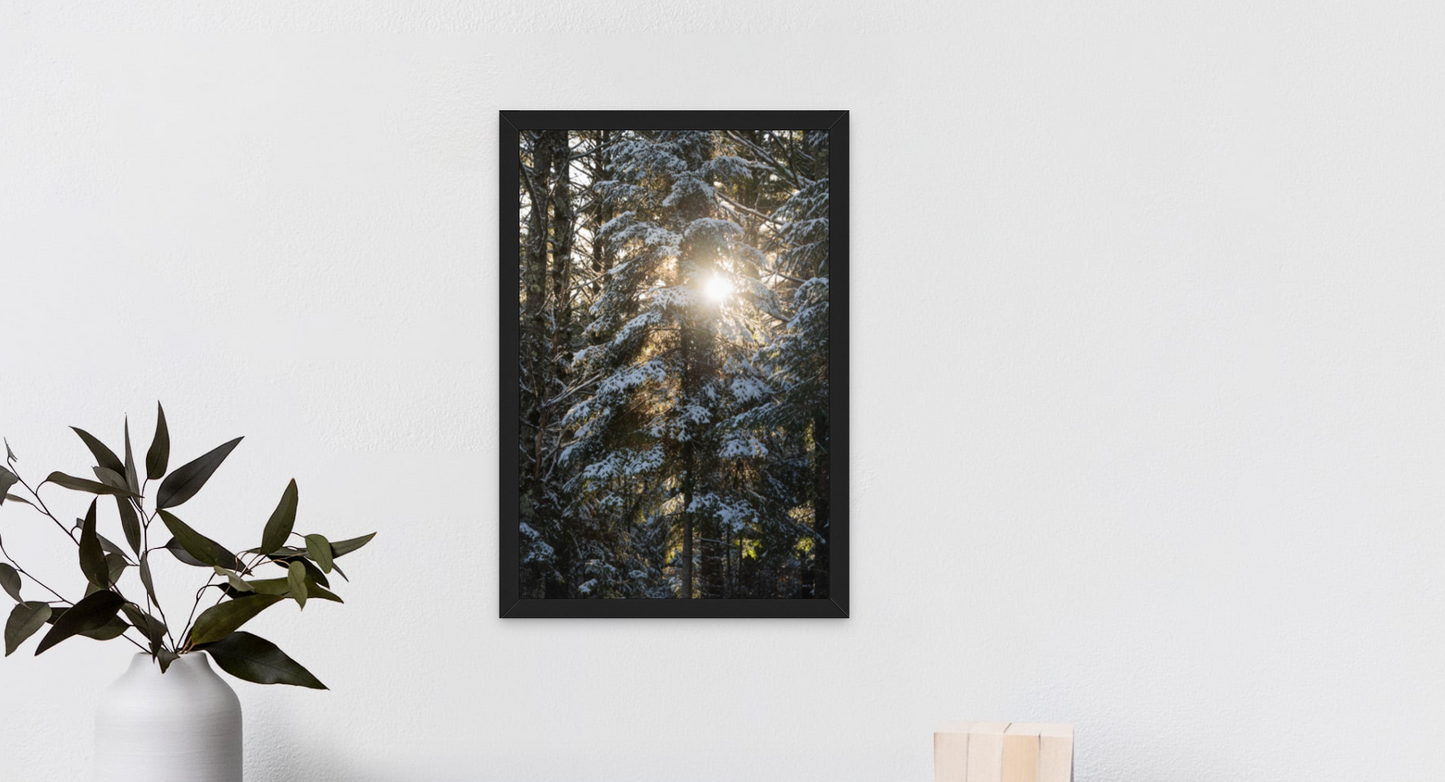 Through The Trees
