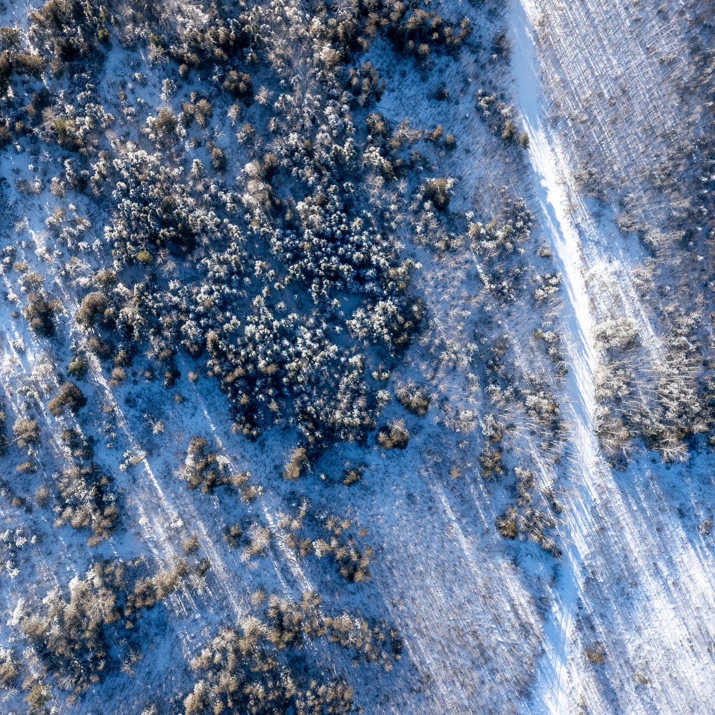Winter Road