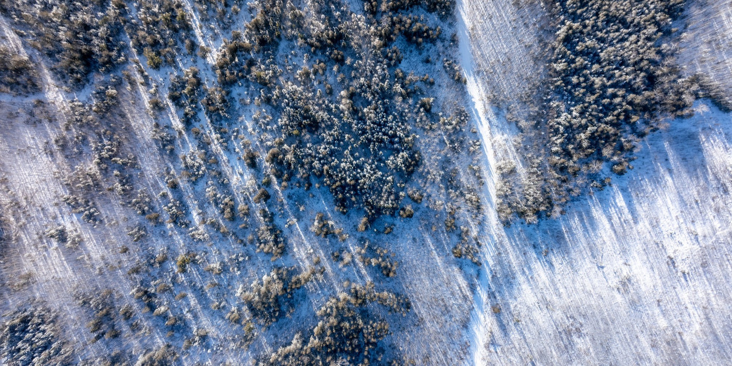 Winter Road - Print Only