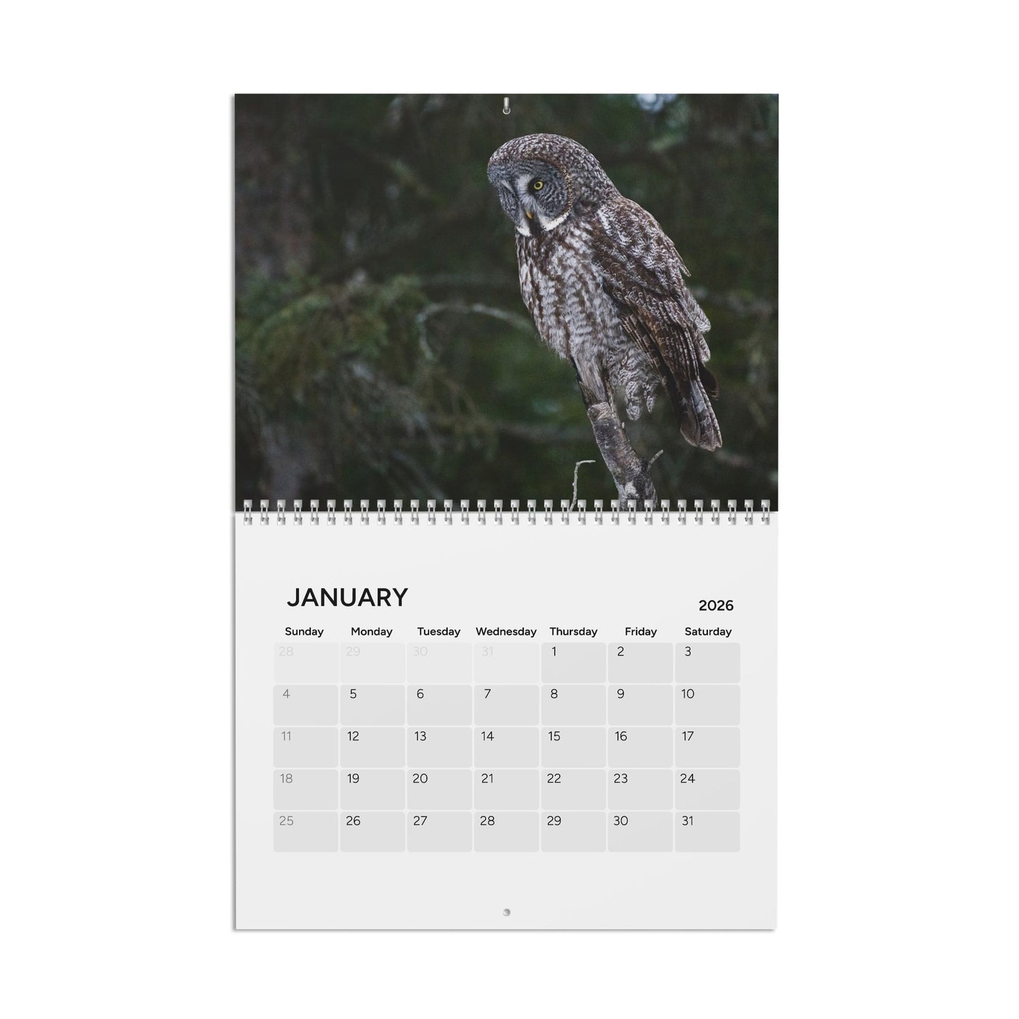 2026 Wildlife Calendar