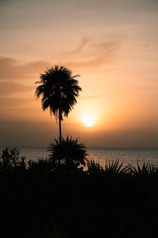 Caribbean Sunrise - Print Only