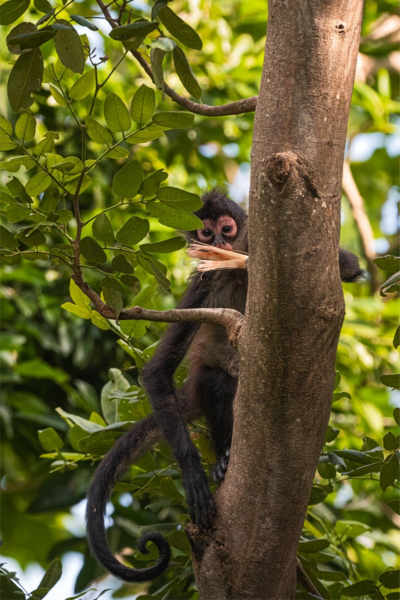 Curiosity - A 12x18 Vertical Photography Print