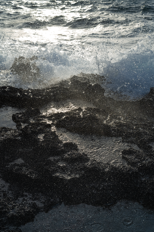 Ocean Spray - Print Only