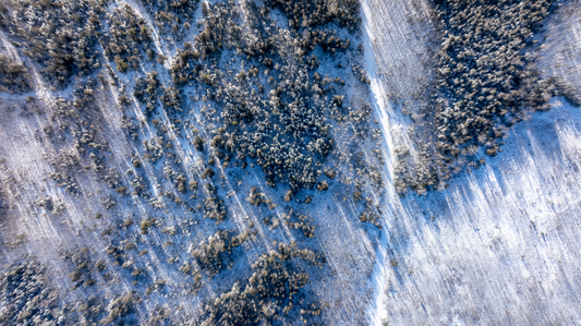 Winter Road